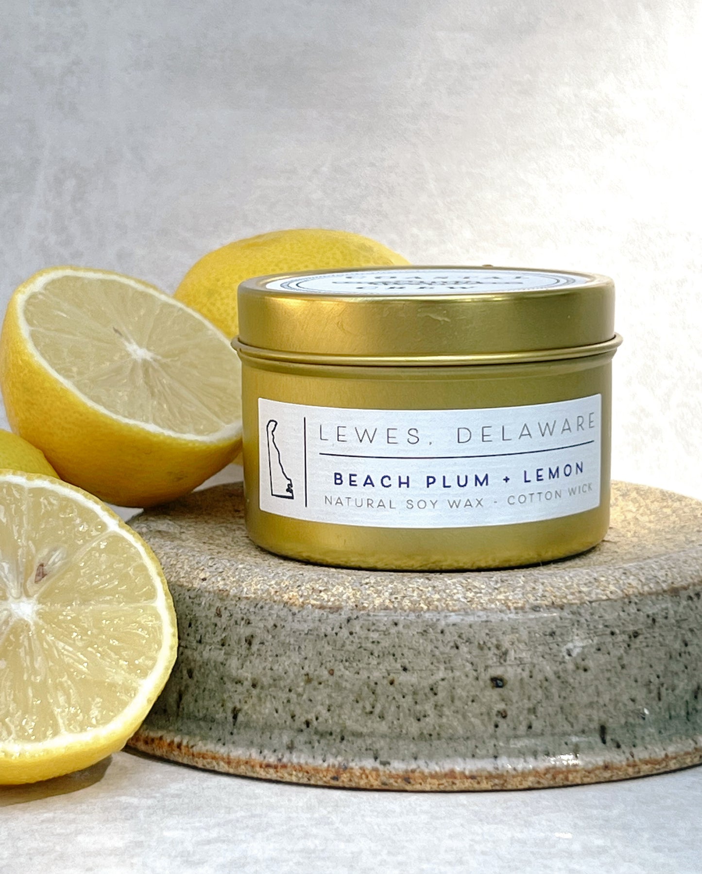 Beach Plum + Lemon Tin Candle